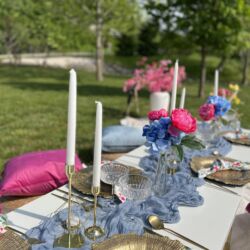 Luxury picnic; table setting